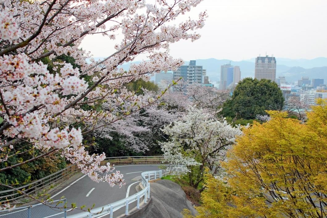 🌳 히지야마 공원 (히지야마코엔) 이미지 1